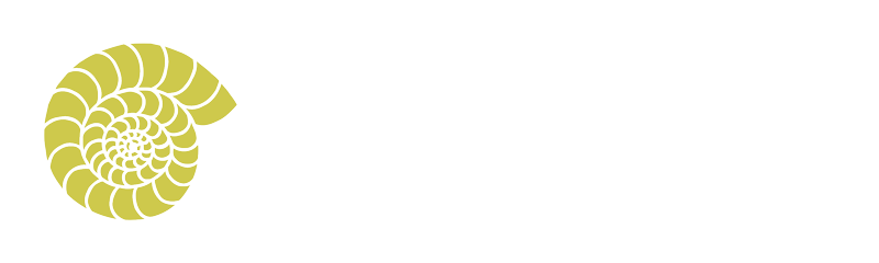 ErgoStudio Logo