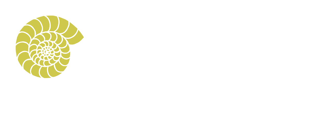 ErgoStudio Logo